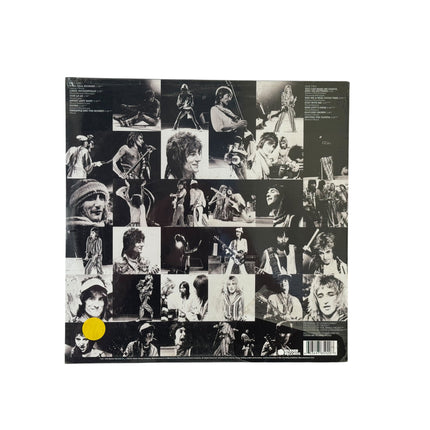 Snakes And Ladders - The Best Of The Faces Vinyl Record LP