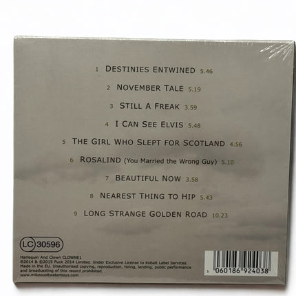 The Waterboys - Modern Blues CD